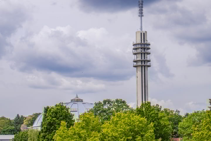 Photo 38 of Alexanderstraat 204