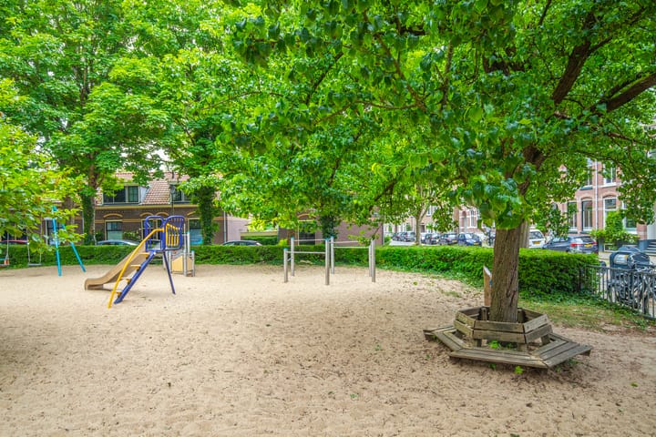 Photo 40 of Alexanderstraat 204