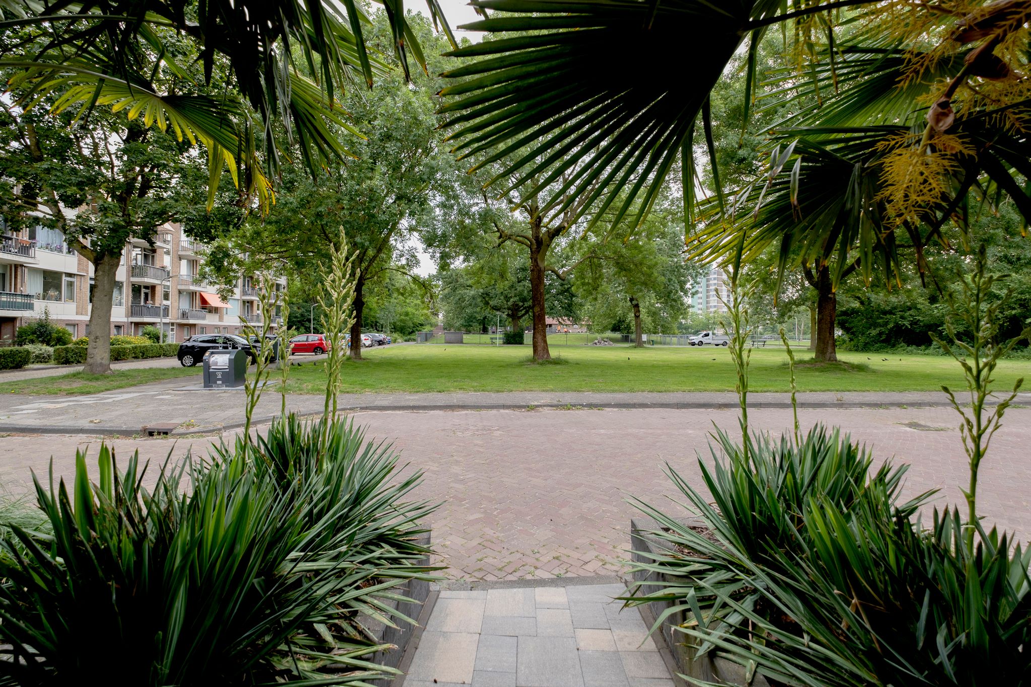 Foto 48 van Montbretiastraat 2