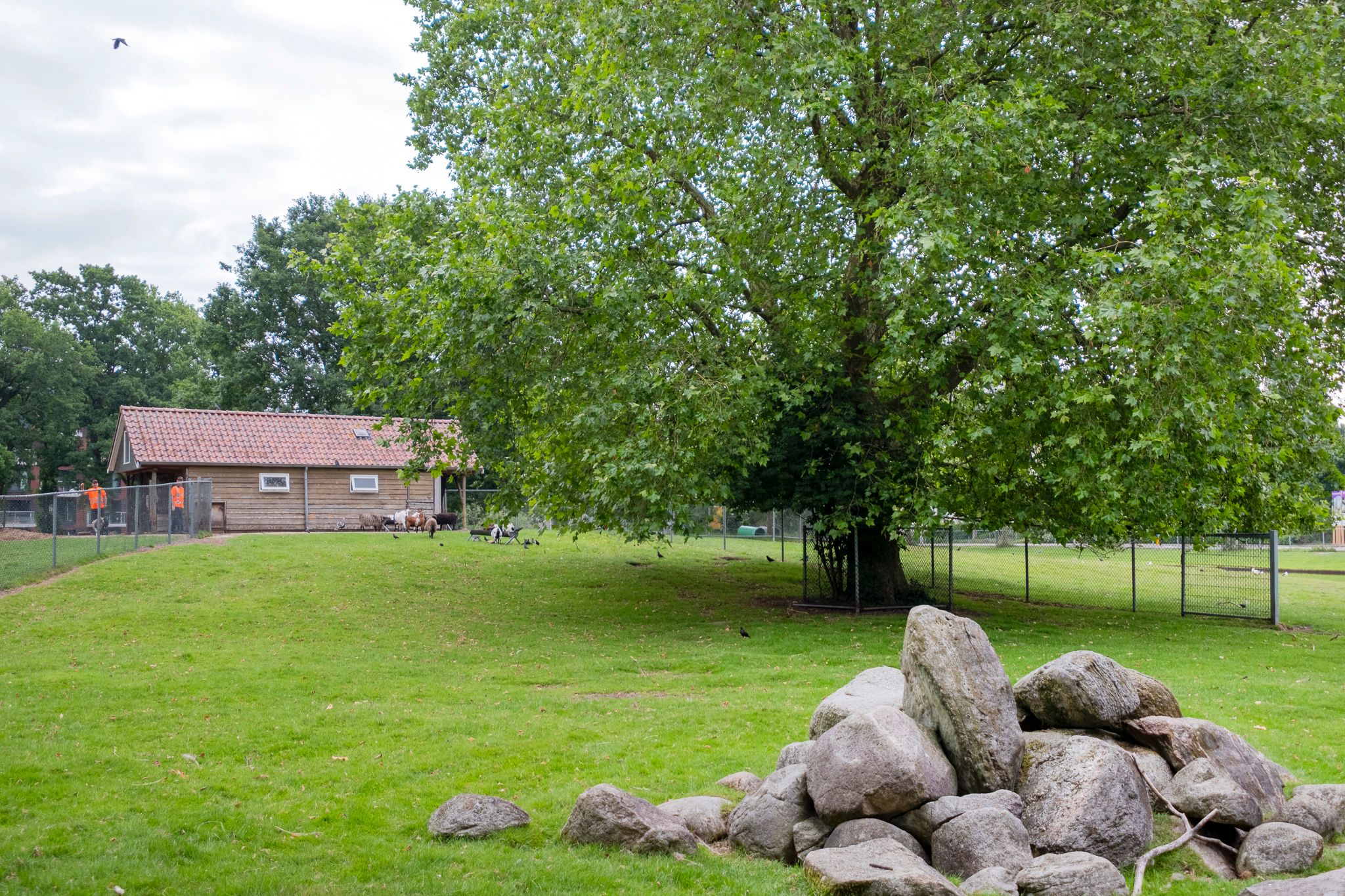 Foto 51 van Montbretiastraat 2