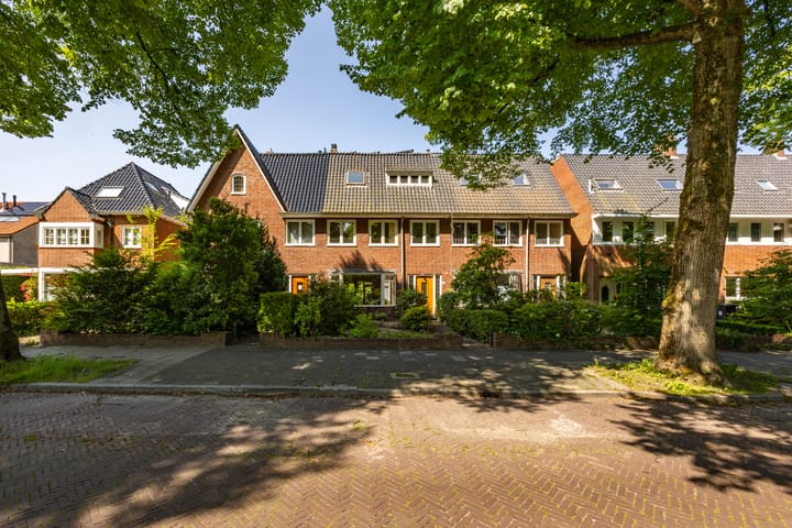 Foto 42 van Troelstralaan 57