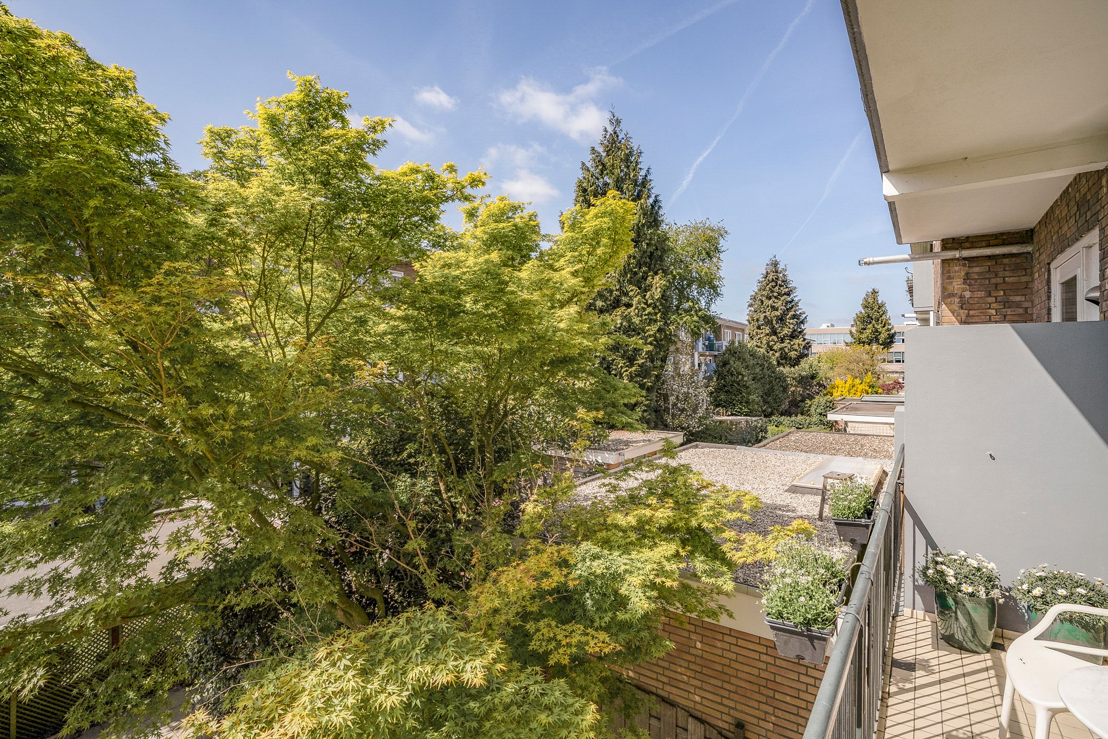 Foto 18 van Linnaeusparkweg 250-1