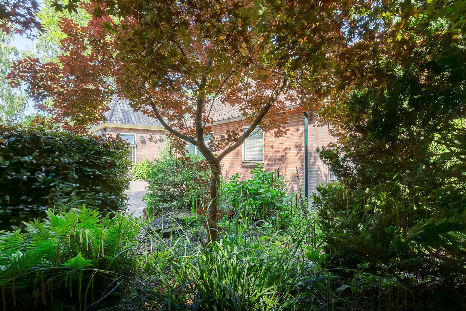 Foto 15 van Jokweg 43