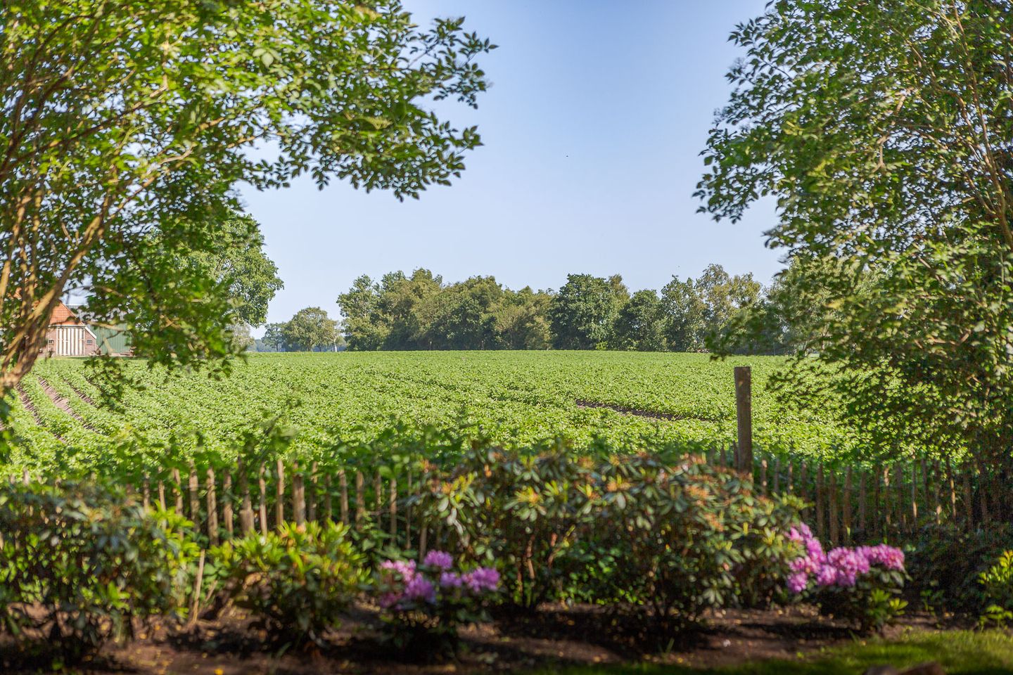 Foto 64 van Jokweg 43