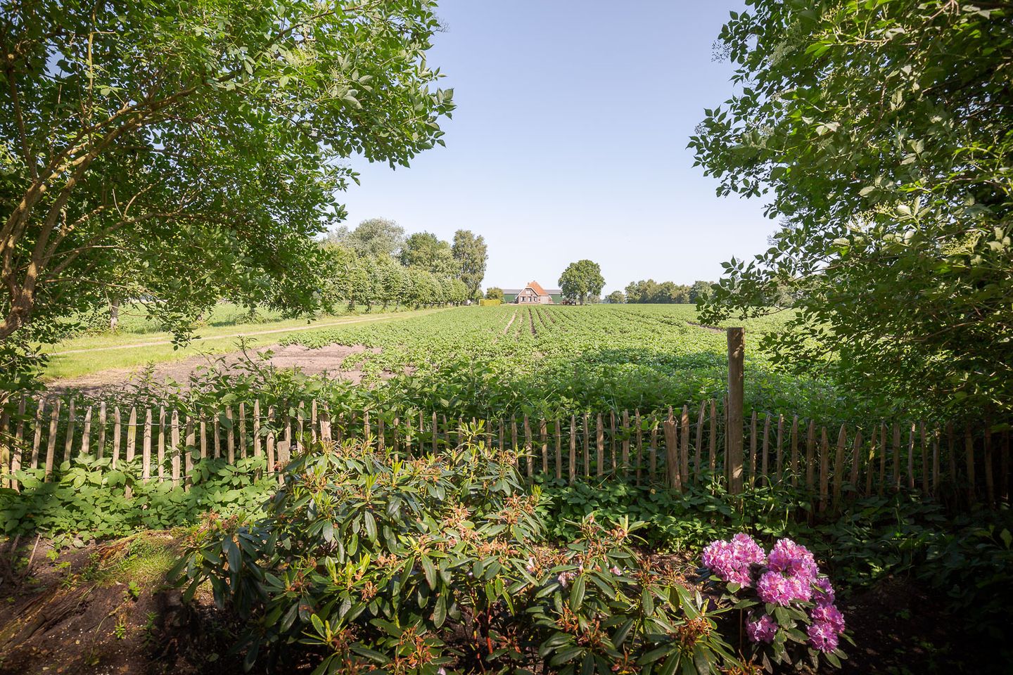 Foto 65 van Jokweg 43