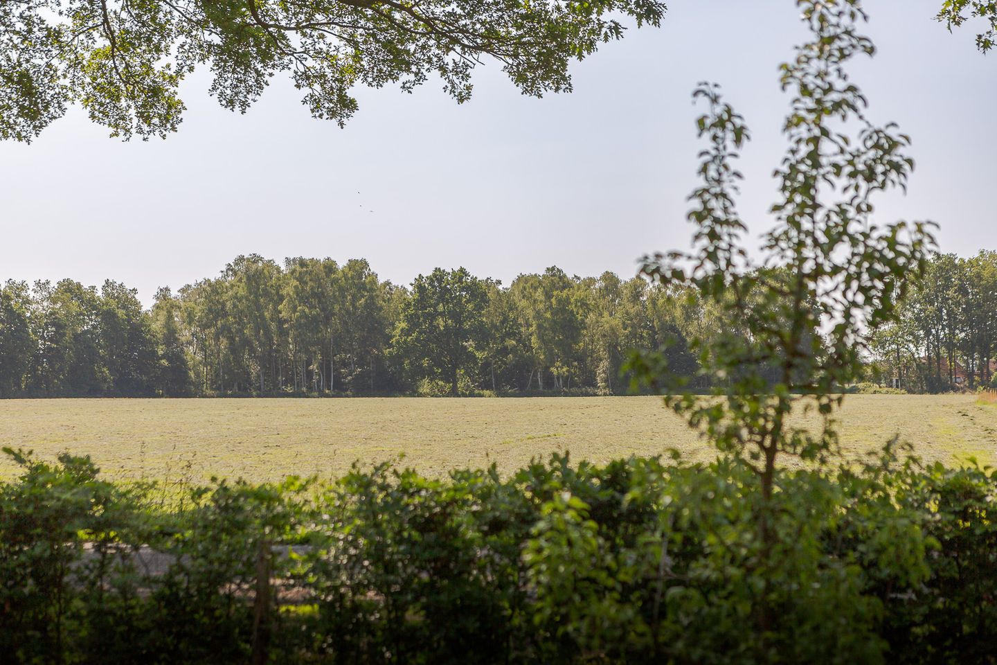 Foto 80 van Jokweg 43