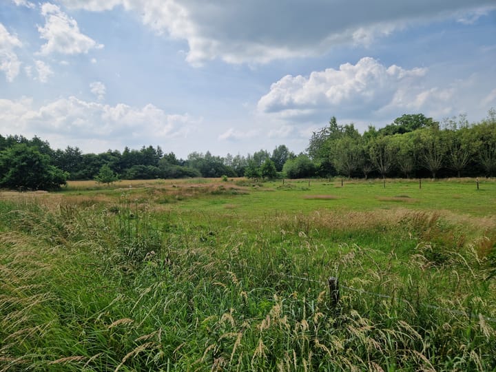 Photo 8 of Hoevesteeg 44