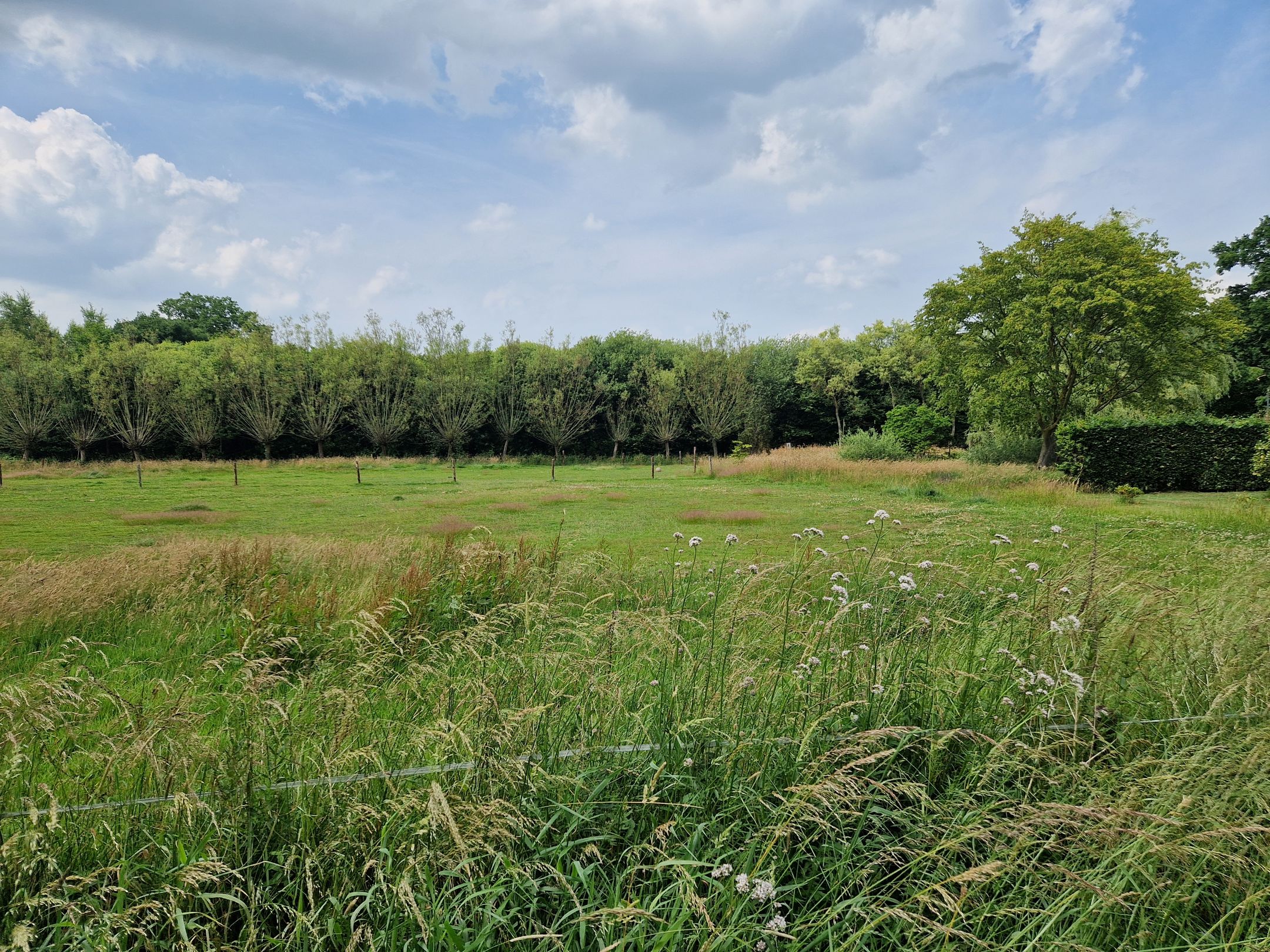 Foto 9 van Hoevesteeg 44