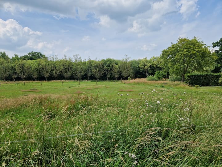 Photo 9 of Hoevesteeg 44