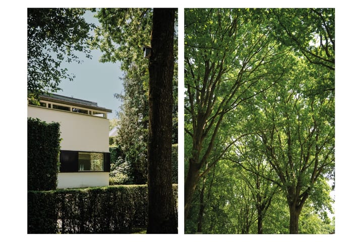 Foto 48 van Dennenlaan 3