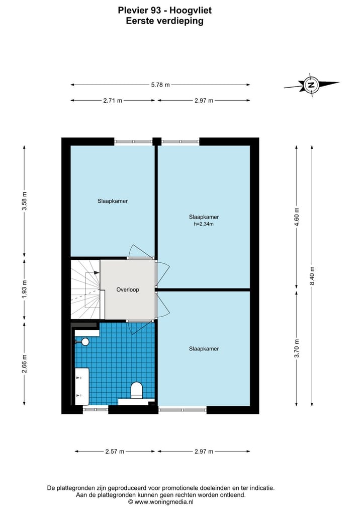 Foto 34 van Plevier 93