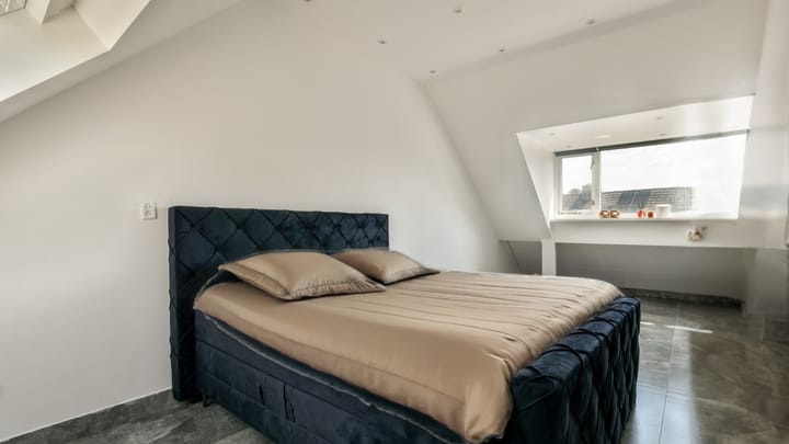 Foto 22 van Plevier 93