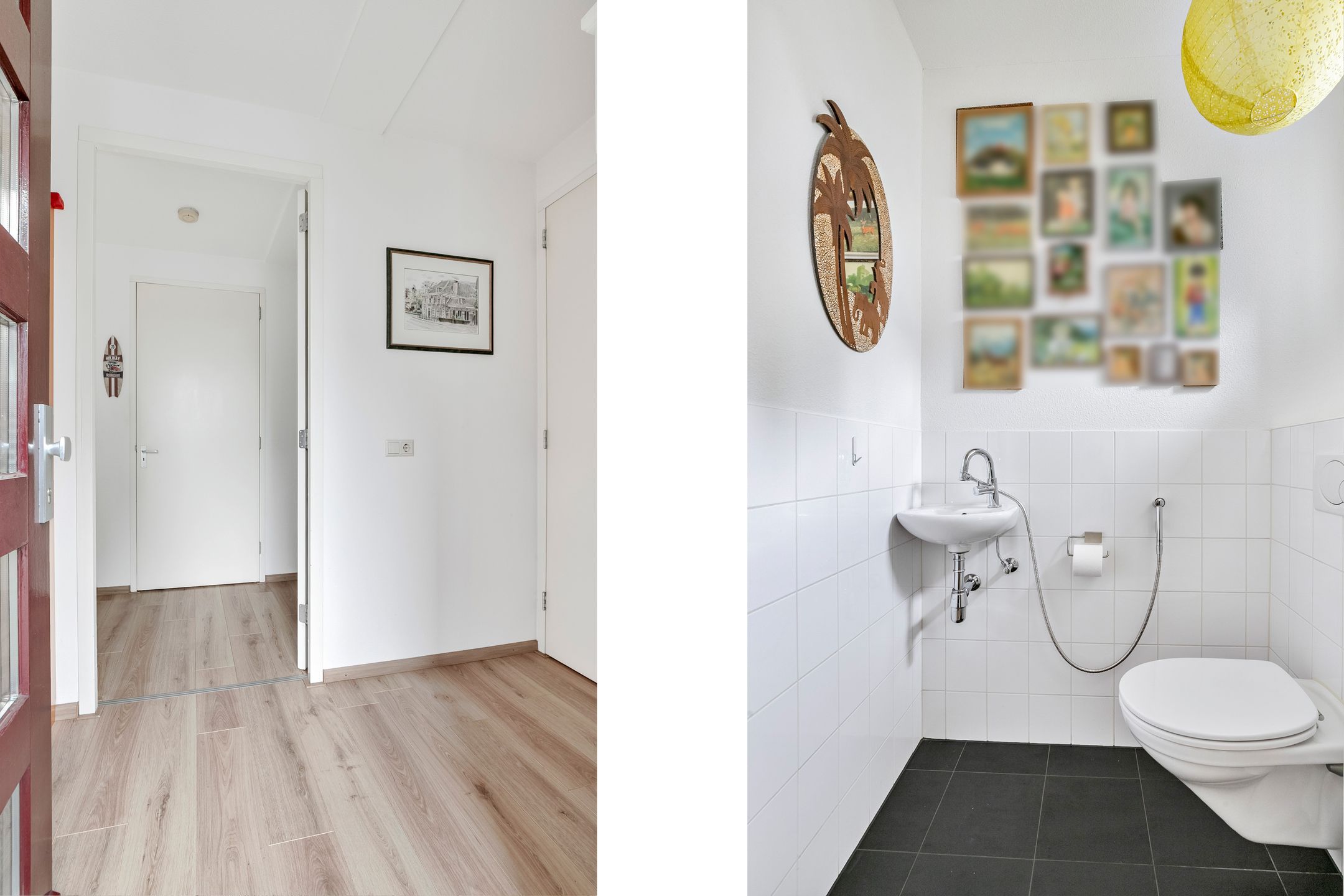 Foto 12 van Maagdenpalm 14