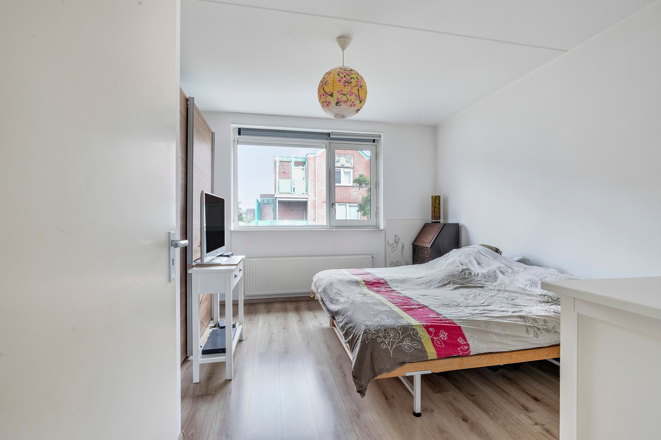 Foto 15 van Maagdenpalm 14