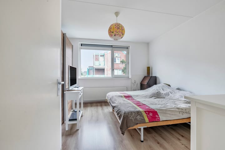 Foto 15 van Maagdenpalm 14