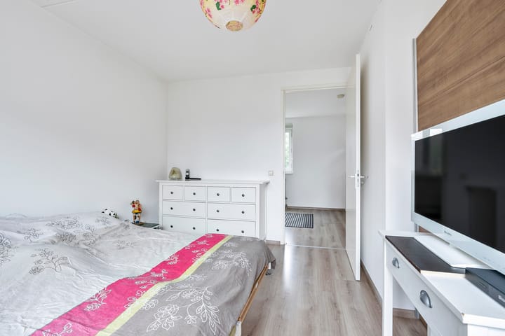 Foto 16 van Maagdenpalm 14