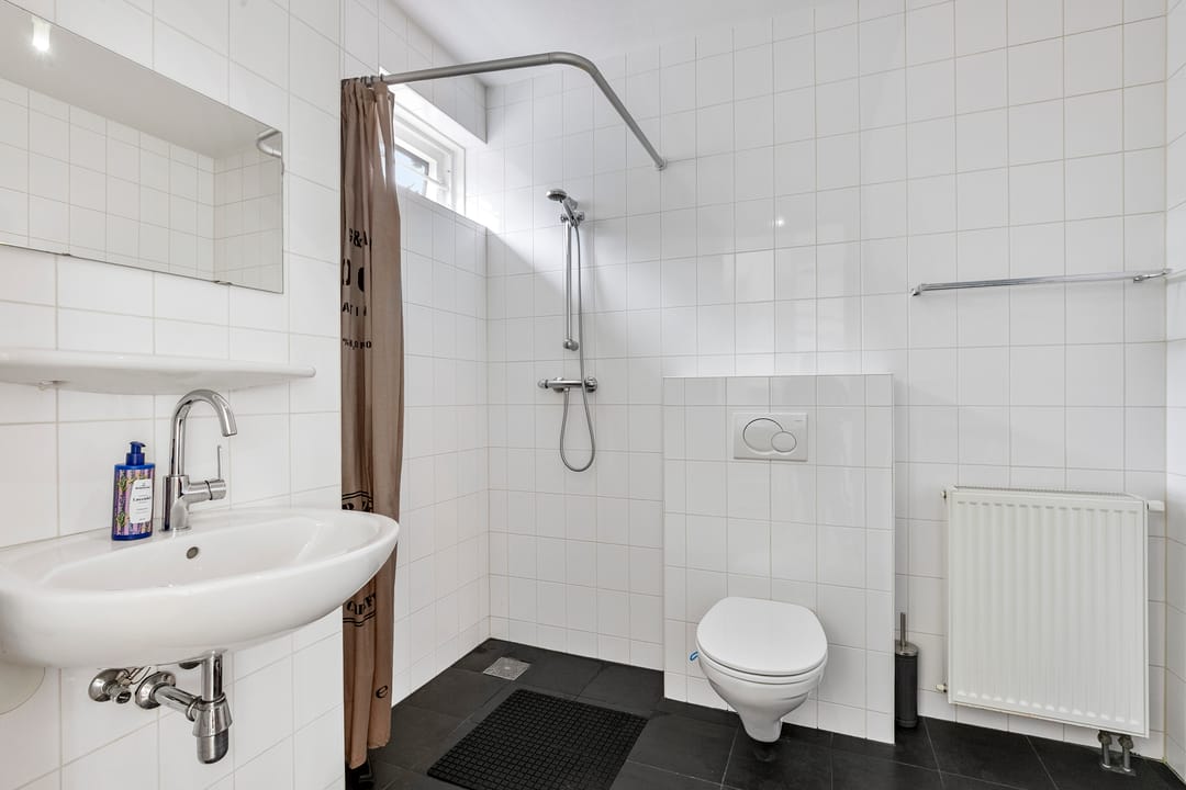 Foto 17 van Maagdenpalm 14