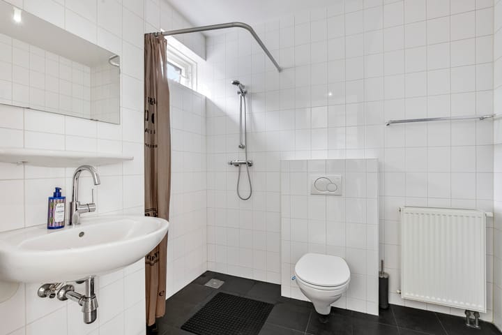 Foto 17 van Maagdenpalm 14