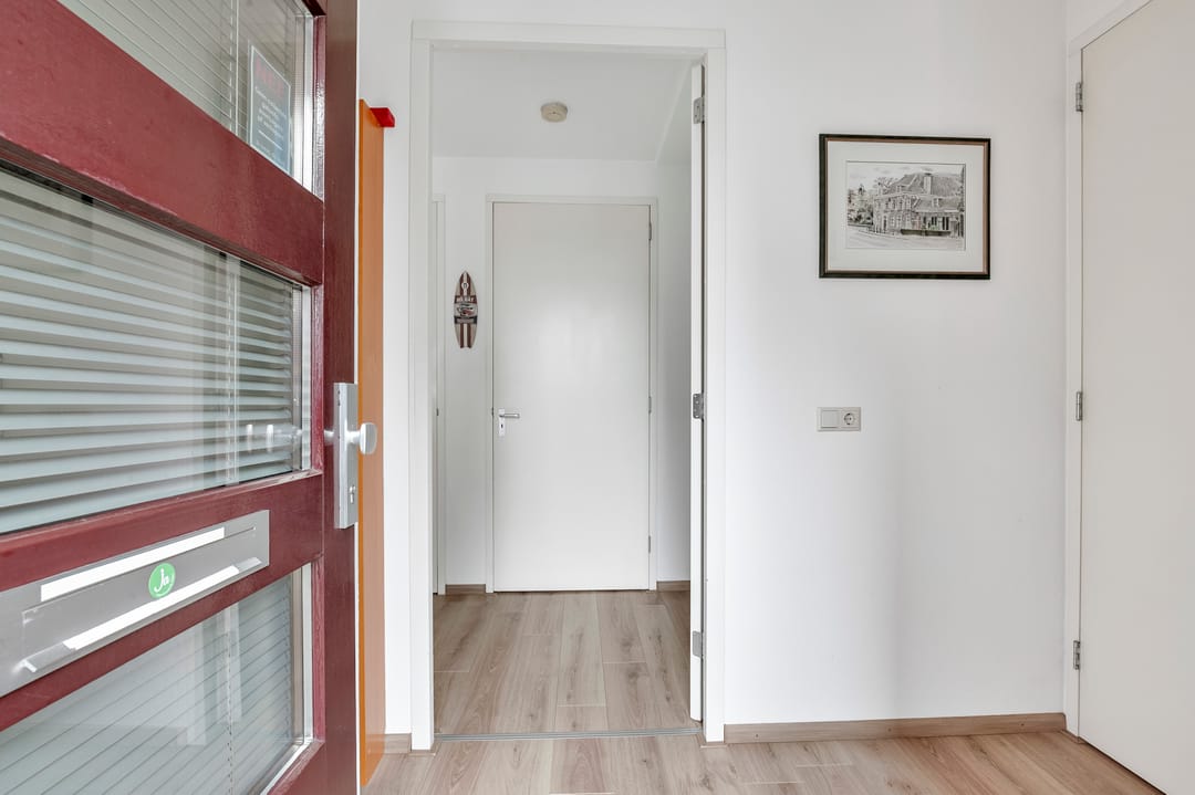 Foto 2 van Maagdenpalm 14