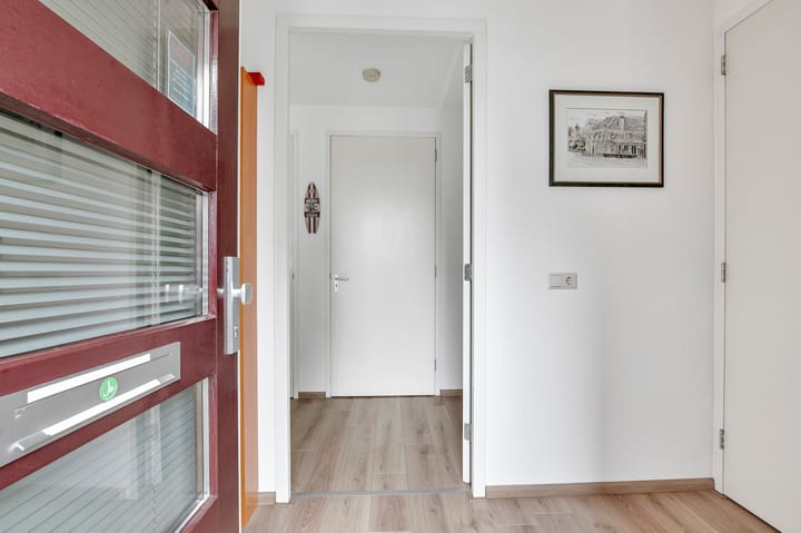 Foto 2 van Maagdenpalm 14