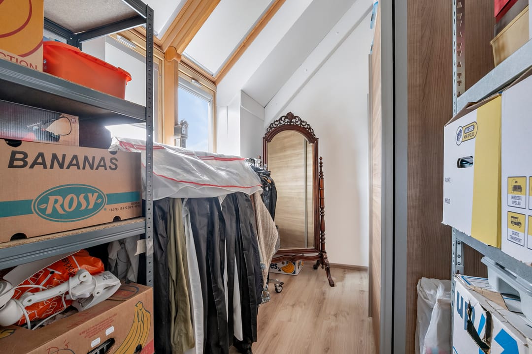 Foto 23 van Maagdenpalm 14