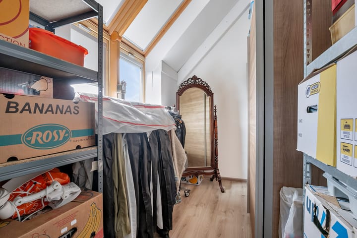 Foto 23 van Maagdenpalm 14