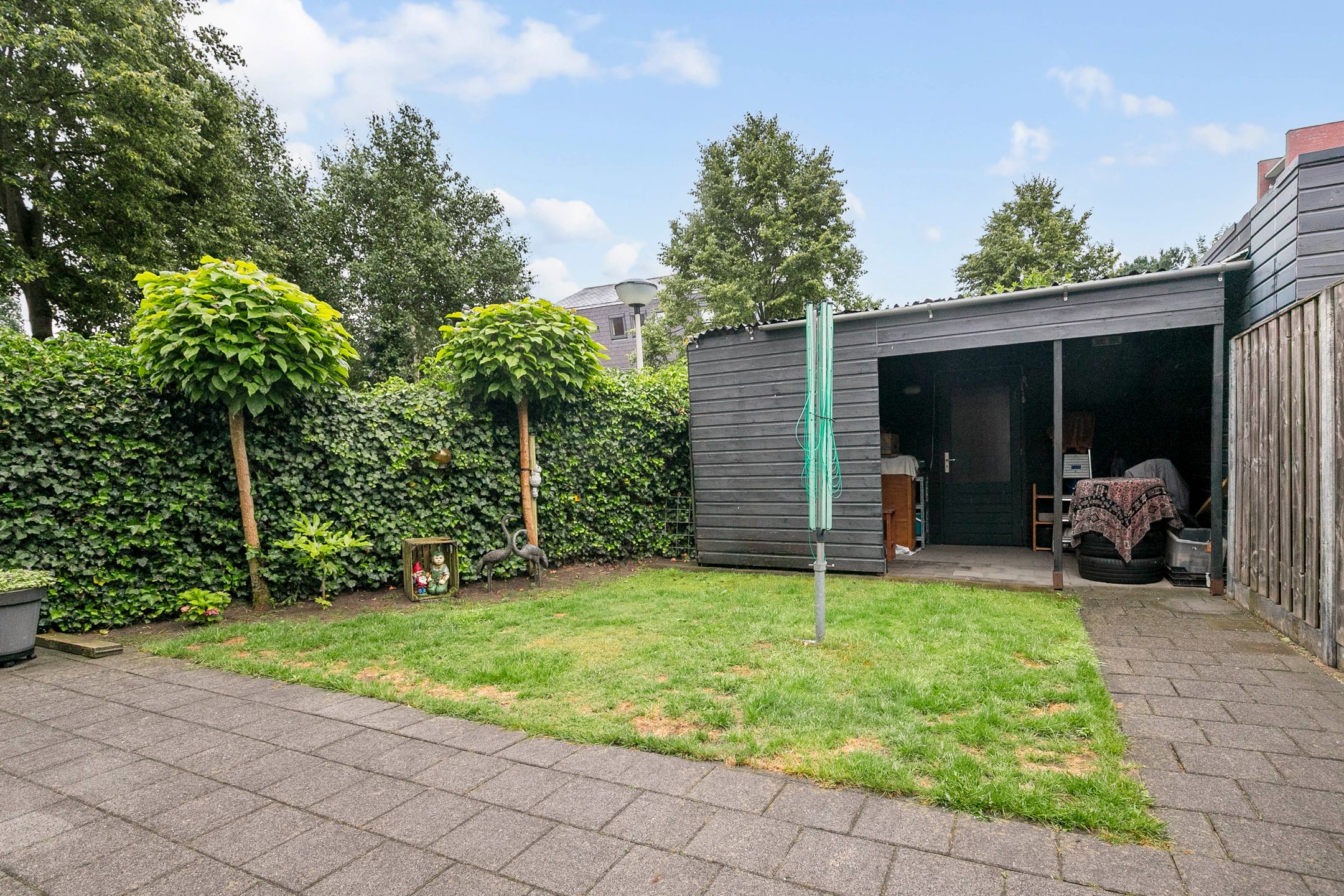 Foto 27 van Maagdenpalm 14