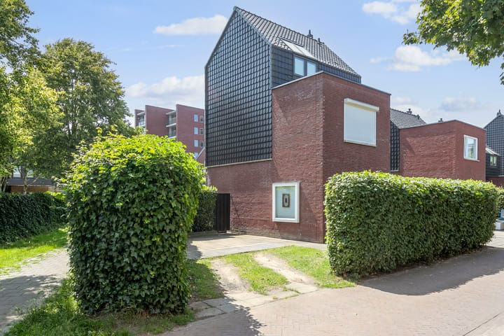 Foto 30 van Maagdenpalm 14