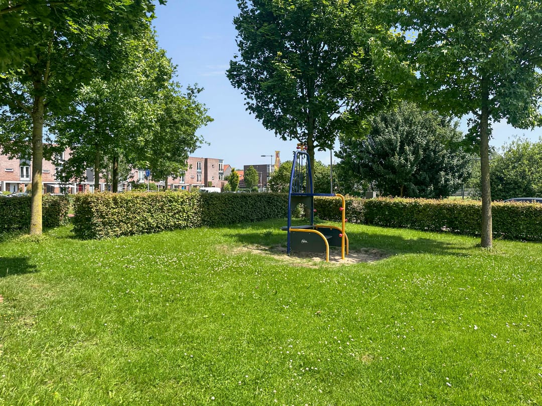 Foto 31 van Maagdenpalm 14