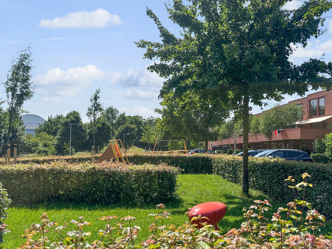 Foto 32 van Maagdenpalm 14