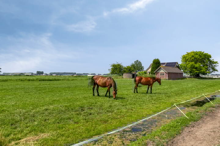 Foto 48 van Middelweg 5-A
