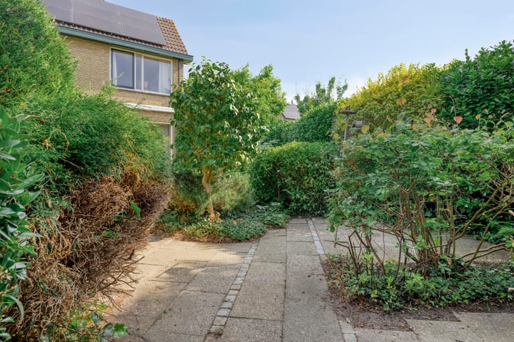 Photo 29 of Rondo 52