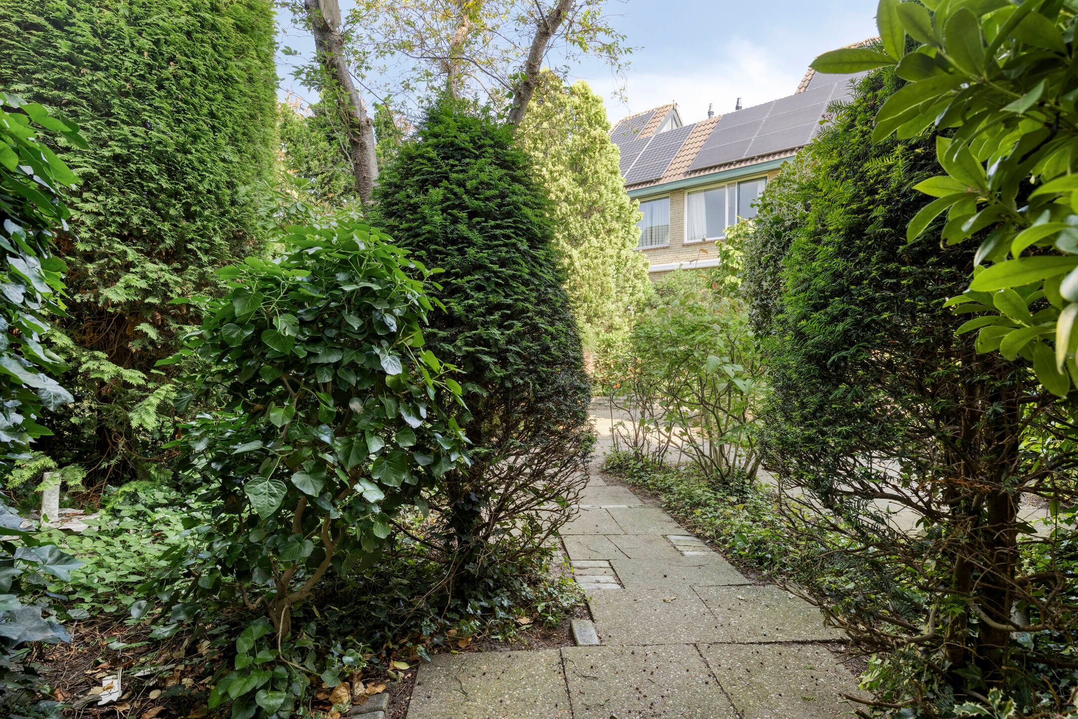 Foto 30 van Rondo 52