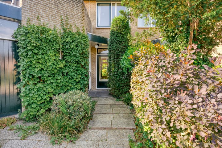 Photo 40 of Rondo 52