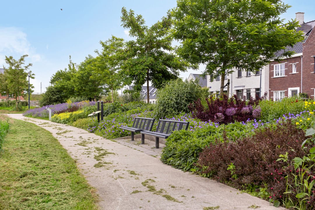 Photo 37 of Wadloper 23