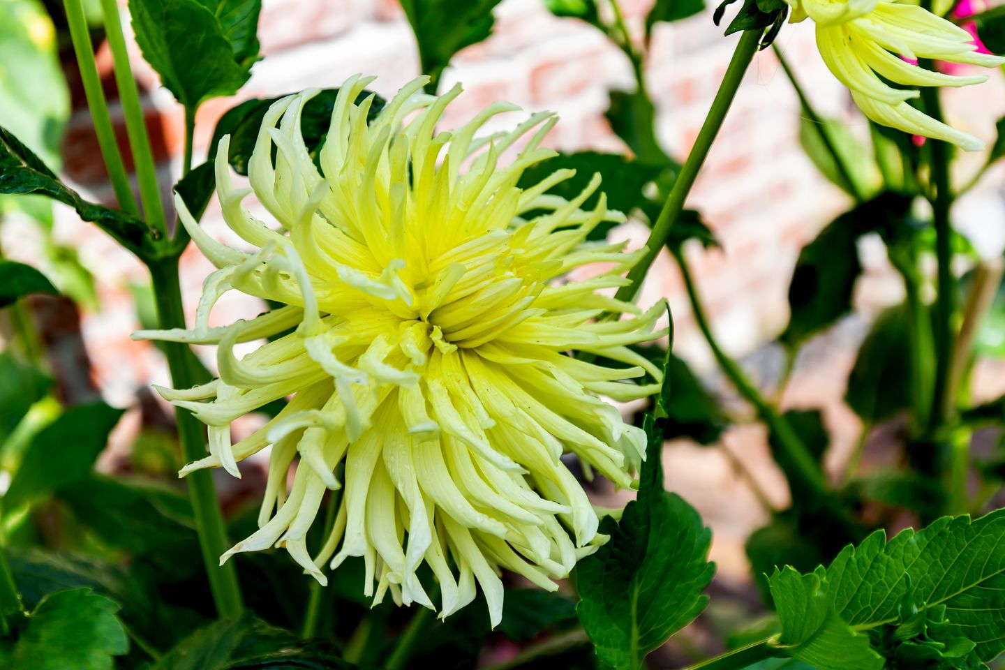 Foto 20 van Bouwstraat 6