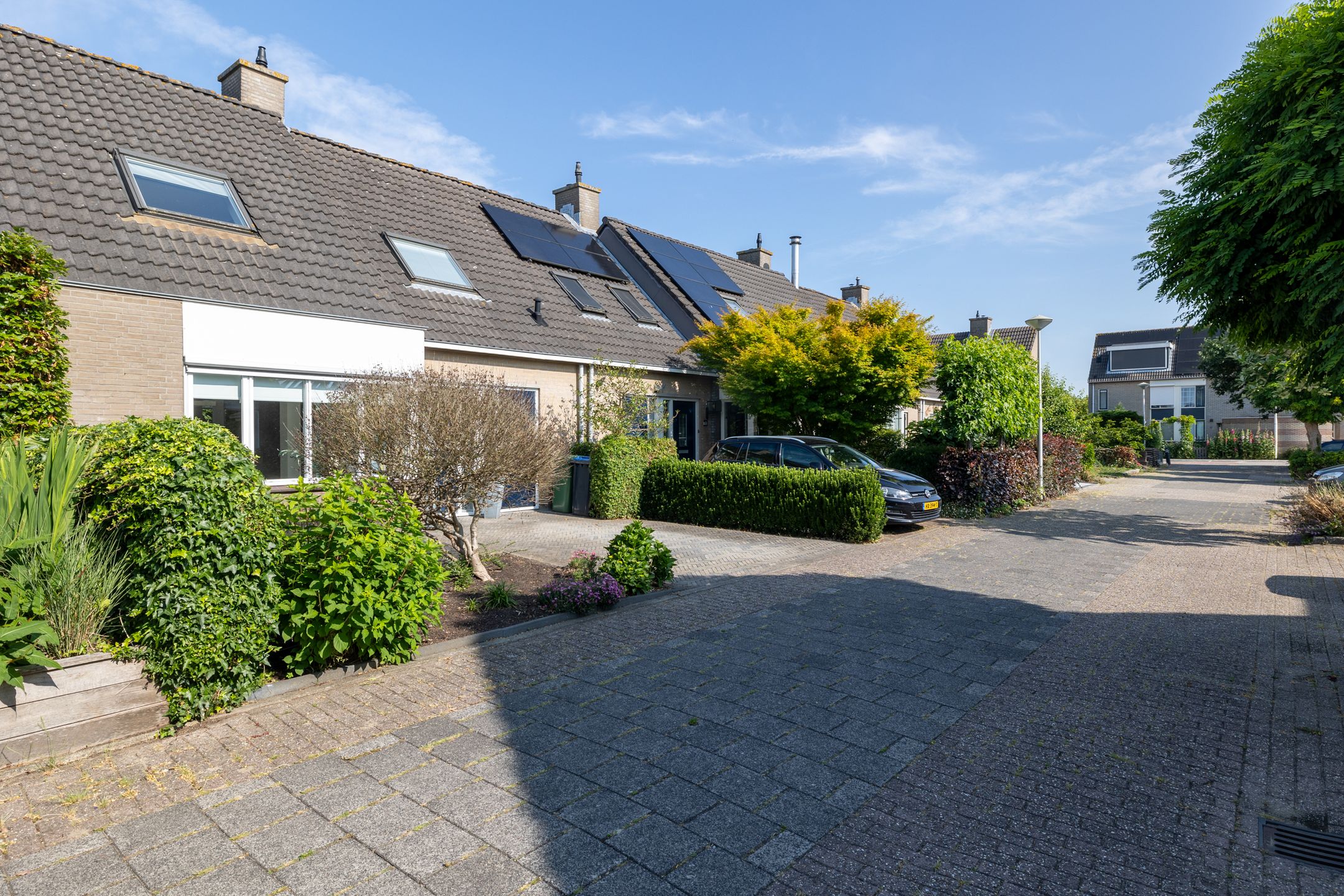 Foto 45 van Leermos 10