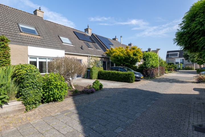 Foto 45 van Leermos 10