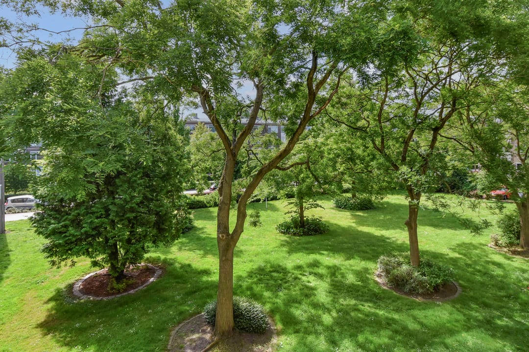 Foto 41 van van Leeuwenstraat 108