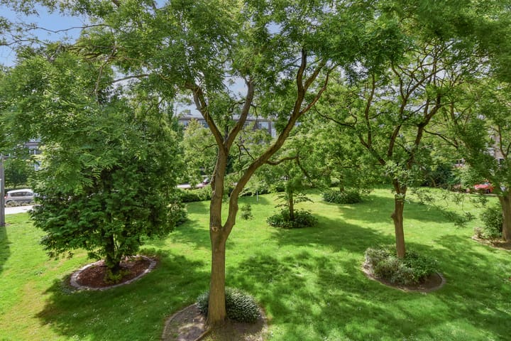 Foto 41 van van Leeuwenstraat 108