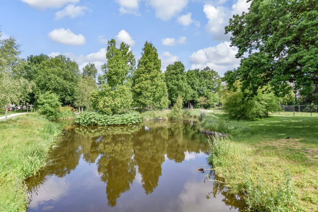 Foto 46 van van Leeuwenstraat 108