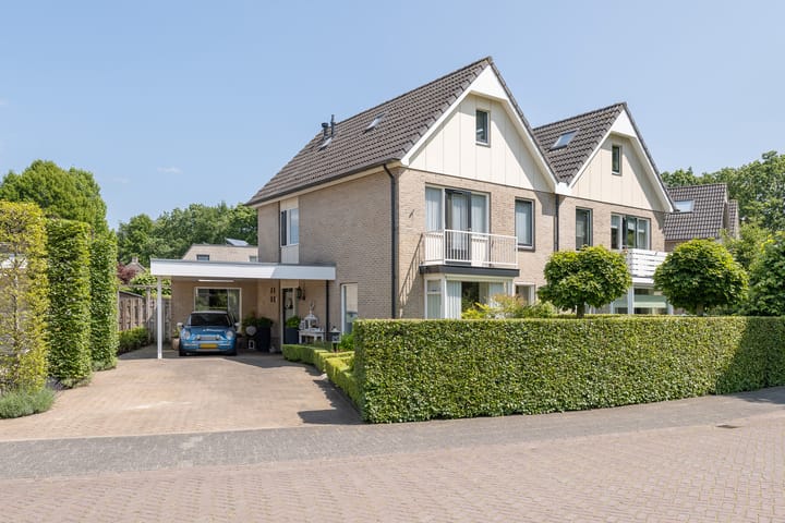 undefined main image