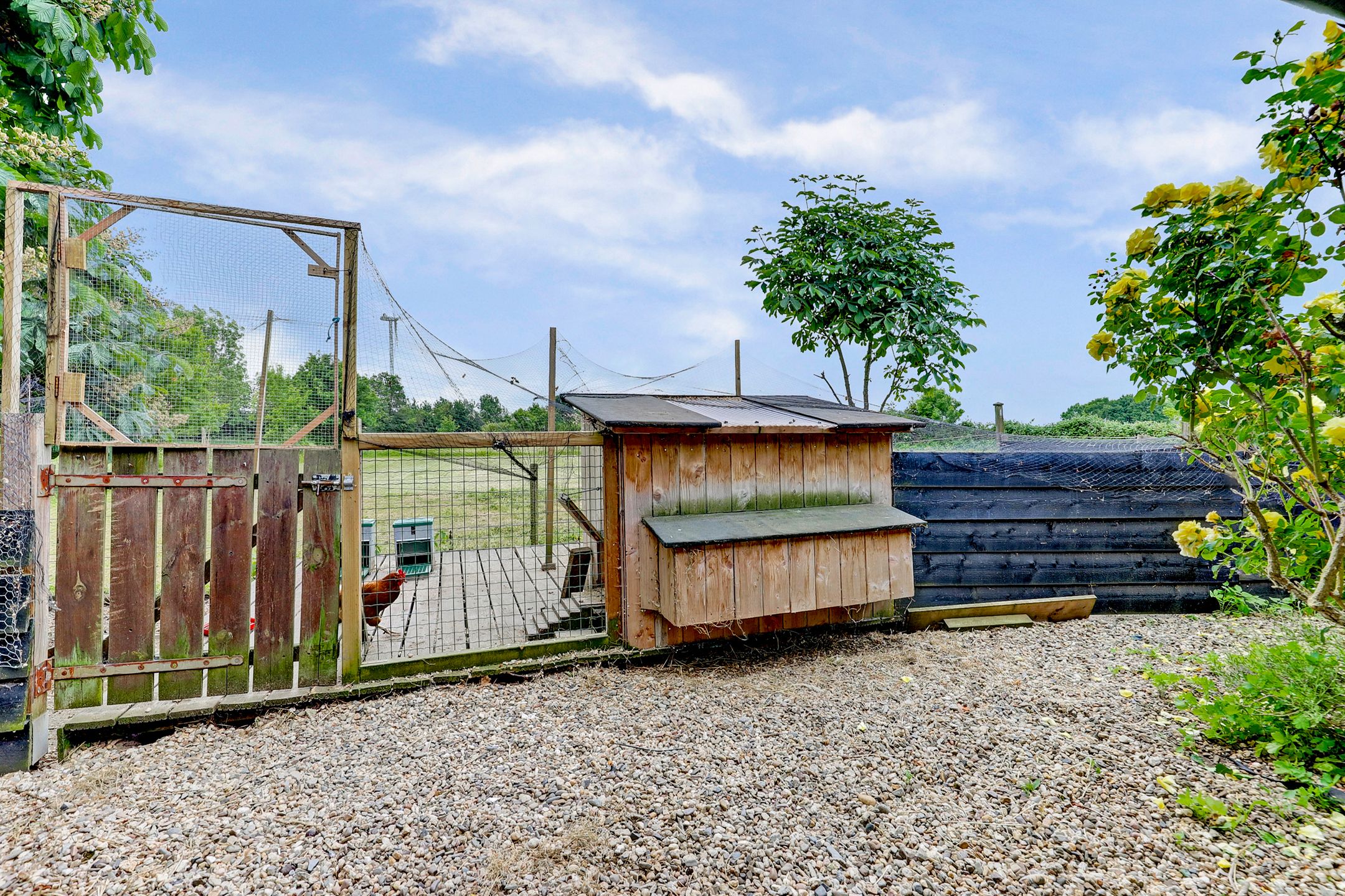 Foto 54 van Broekzijdestraat 1