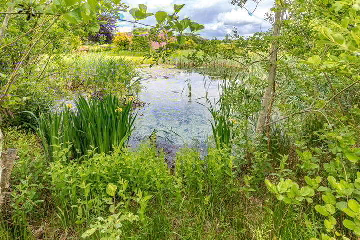 Photo 79 of B.L. Tijdensweg 13