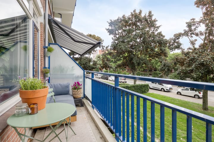 Foto 20 van Obrechtstraat 217