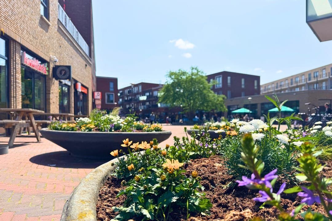 Foto 56 van Medeastraat 39