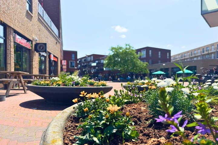 Foto 56 van Medeastraat 39