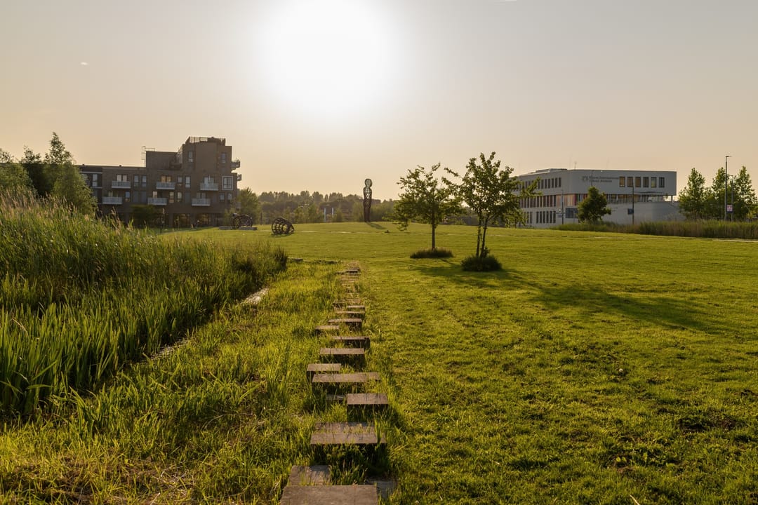 Foto 58 van Medeastraat 39