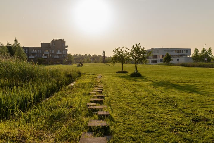 Foto 58 van Medeastraat 39