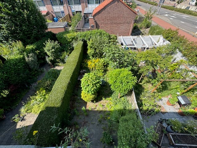 Foto 3 van Dordtsestraatweg 627